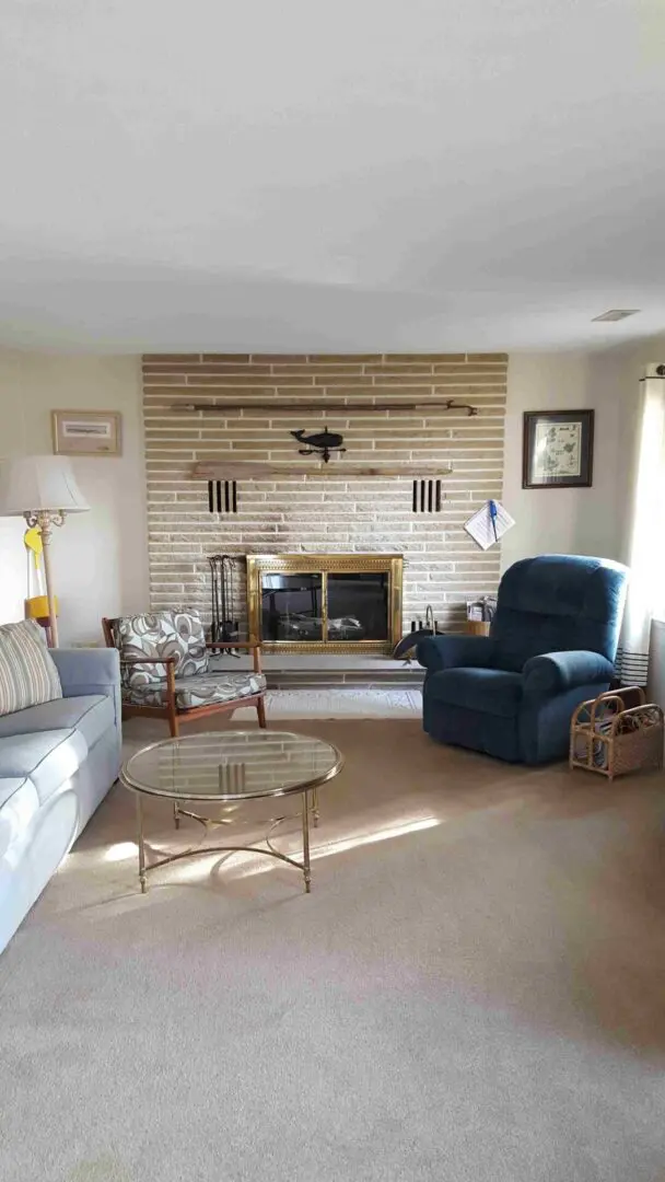 A picture of the house living room with fireplace